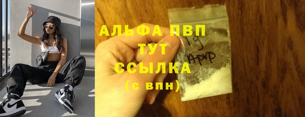 хмурый Горно-Алтайск