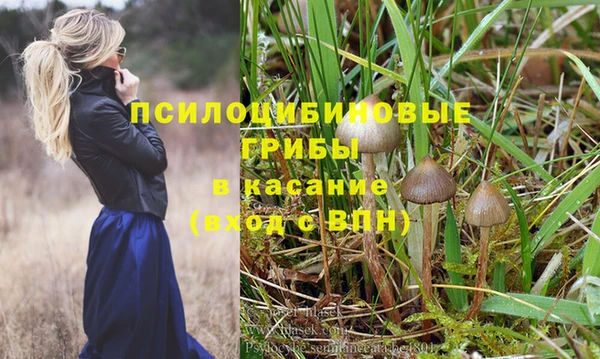 тгк Горняк