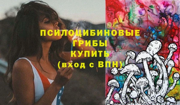 гашиш Горнозаводск