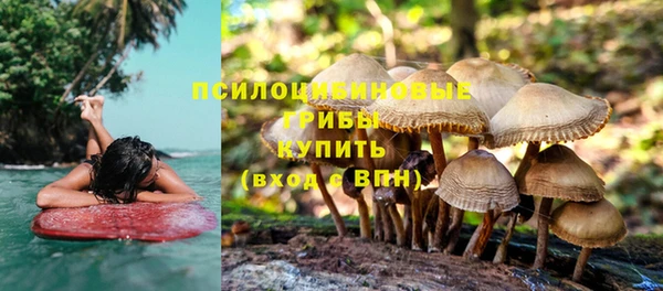 тгк Горняк