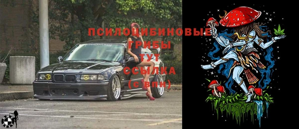 гашиш Горнозаводск