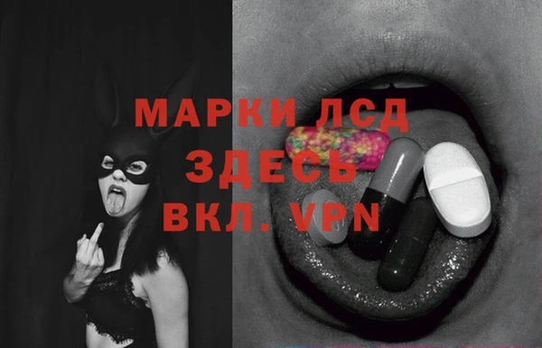 тгк Горняк