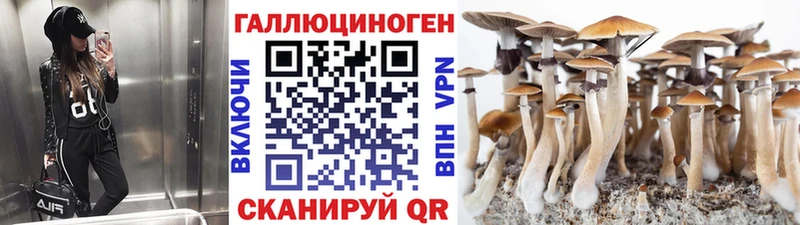 Галлюциногенные грибы Psilocybine cubensis  купить наркоту  Нефтеюганск 